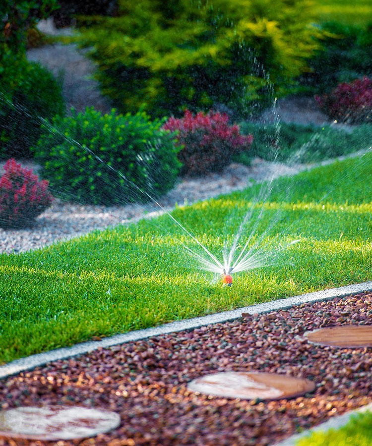 Landscape, Yard & Garden